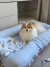 Cama Ninho 3 em 1 Premium Azul Nuvem 90cm x 60cm - loja online
