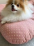Cachorro da raça Spitz Alemão de pelagem branca e bege sentado em cama ninho rosa com estampa delicada