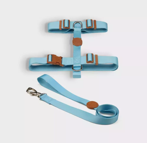 Conjunto Peitoral modelo H e Guia de cor Azul.