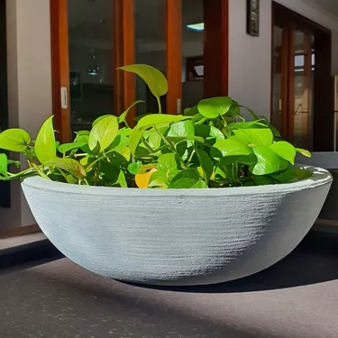 Vaso Bacia Rosa Do Deserto Cuia P/ Plantas E Suculentas - comprar online
