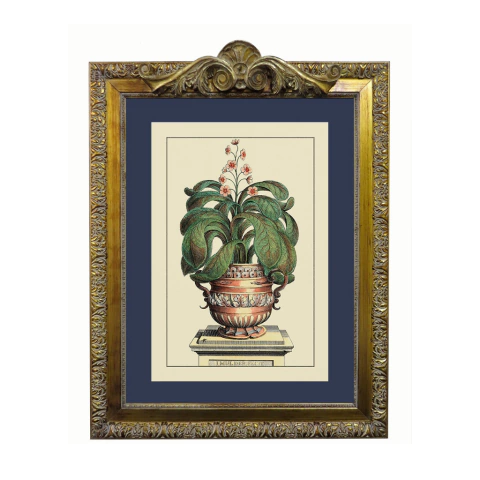 QUADRO RETANGULAR C/ GRAVURA BOTÂNICAS 55x70 cm