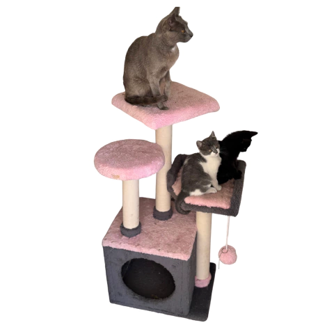 Egipcio Gris y Rosa - comprar online