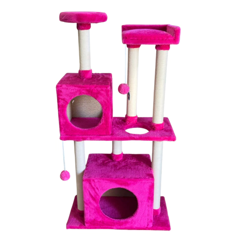 Birmano Fucsia - comprar online