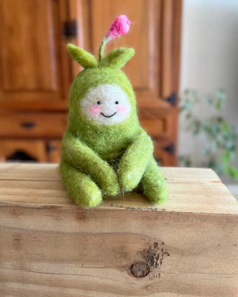 Brote de tulipan - Tulipa - comprar en línea