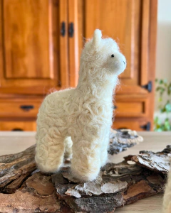 Alpacas
