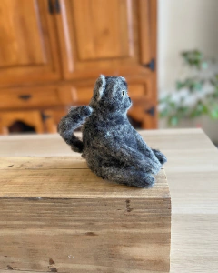 Gato Prudencio - Arte Color y Luz