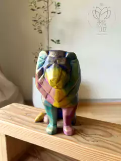 León - comprar en línea