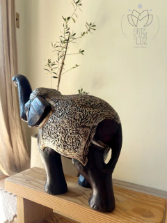 Elefante grande en internet