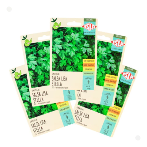 Sementes Salsa Lisa Sem Agrotóxico Isla 5 Envelope De 500mg