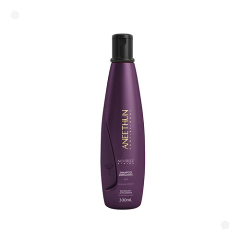 Shampoo Defrizante Aneethun No Frizz 300ml Profissional