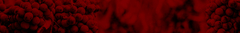Banner da categoria Cartuxa