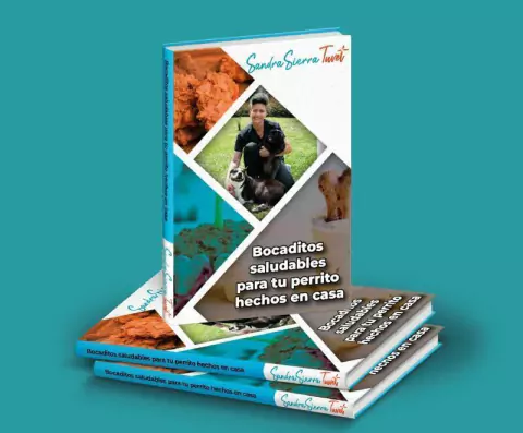 E-book Bocaditos saludables para tu perrito hechos en casa