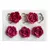 Forma de Silicone 06 Rosas - comprar online