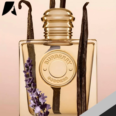 BURBERRY PERFUME FEMININO GODDESS EDP 50ML