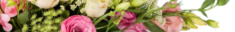 Banner de la categoría CURSOS FLORALES
