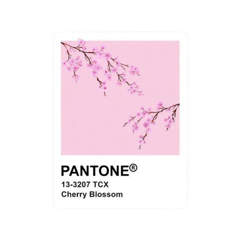 Pantone cherry blossom - comprar online