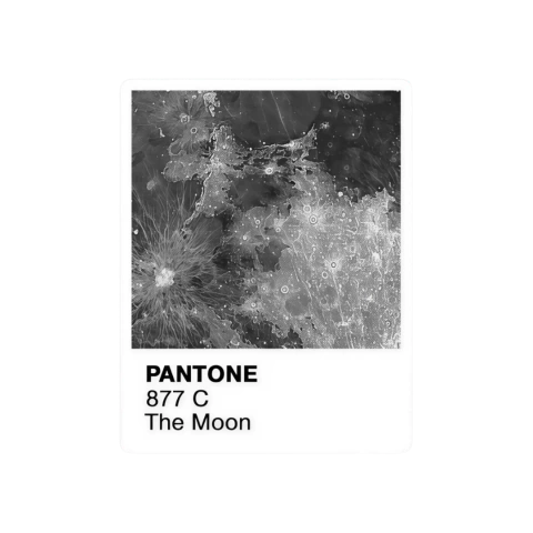 Pantone moon - comprar online
