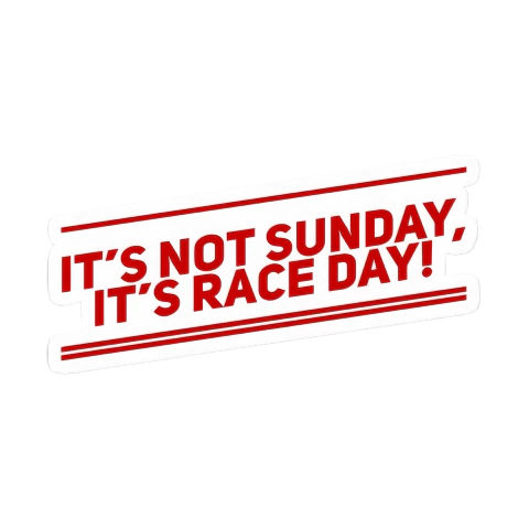It's race day - comprar online