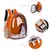 Mochila Pet Para Transporte De Cães E Gatos Visão Panorâmica - Impacto Store Brasil