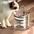 Bebedouro Fonte De Agua Com Filtro Para Pet - Impacto Store Brasil