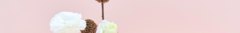 Banner de la categoría Sahumerios