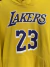BUZO LOS ANGELES LAKERS #23 JAMES NIKE TALLA L en internet
