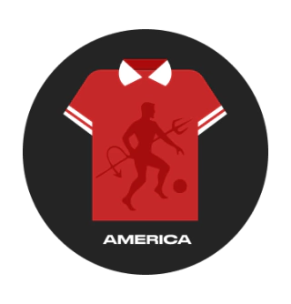 Categoría 5