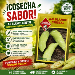 Semillas Ají Blanco Cristal para Huerto | Las Encinas