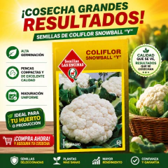 Semillas de Coliflor Snowball Huerto Las Encinas