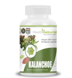 Kalanchoe Health Natural 60 cápsulas | Suplemento Herbal Natural - comprar en línea