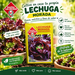 Imagen de Semillas Lechuga 4 Estaciones para Huerto | Las Encinas