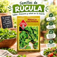 Semillas de Rúcula Cultivada - Sobre | Semillas Las Encinas - comprar en línea