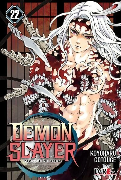 Demon Slayer #22
