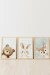 Set x3 Cuadros de 20x30 cm (medida interna) Animalitos del Bosque