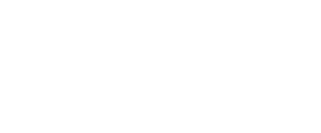 The Orlando Books 