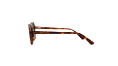 Desumilde geométrica - Alebugno