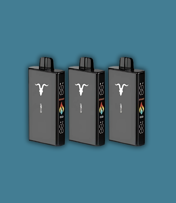 Promo X3 Ignite V250