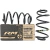 Kit X2 Espiral Trasero Reforzado Chevrolet Spin (Para Vehiculos con un Tubo de Gnc) - comprar online