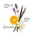 Perfume etleé Vanilla Cashmere Eau de Parfum Feminino 30ml na internet