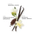 Perfume etleé Toasted Vanilla Eau de Parfum 10ml na internet