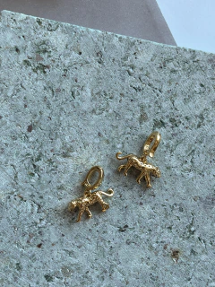 Imagen de CHARMS
