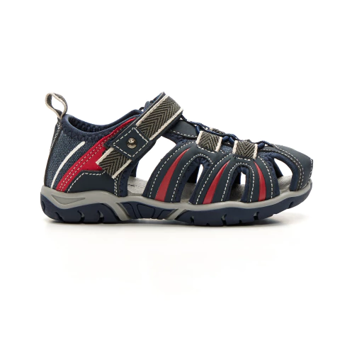 Sammy - comprar online