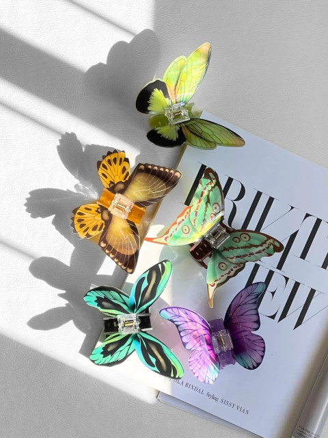 Piranha Borboleta Pintada - comprar online