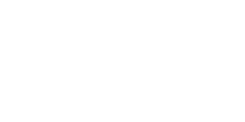 Acacia Flores