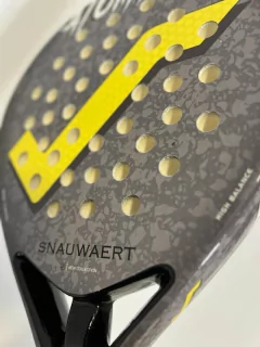 Snauwert Atomic en internet