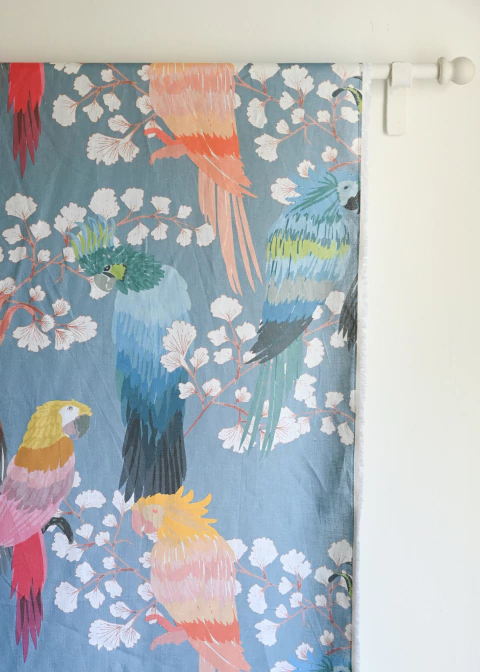 Parrots - comprar online
