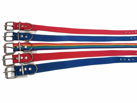 COLLAR POLIPROPILENO 4 - comprar online