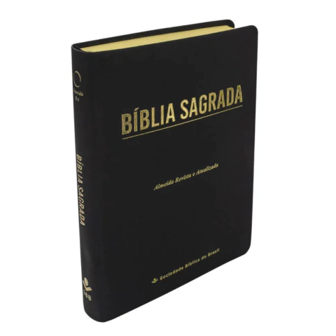 Bíblia Sagrada RA Capa Preta Linha Ouro Letra Gigante