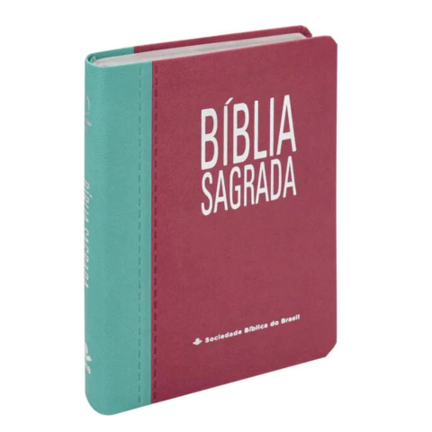 Bíblia Sagrada RA Capa Pink/Azul Turquesa Letra Gigante