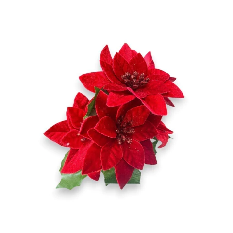 Buque de Bico de Papagaio Veludo Vermelho